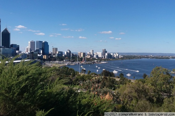 PERTH y el SWAN River desde el KING's PARK
PERTH situada en Australia Occidental, frente al Océano Índico, es la 4a ciudad por población del país y la de más rápido crecimiento. Está considerada como una de las grandes ciudades más aisladas del mundo, pues la más próxima se encuentra a tres horas de vuelo.
