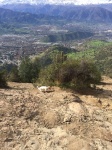 Santiago y Cerro San Cristóbal desde el MANQUEHUE