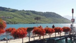 CULLY, un pueblo suizo con encanto
CULLY ENCANTO LAVAUX VAUD LEMAN SUIZA