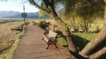 Efectos de la sequía en la LAGUNA DE ACULEO (R.M.)