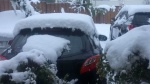 Cambio climático: hoy Santiago amaneció nevado
NIEVE, SANTIAGO, CORDILLERA, CHILE