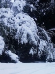 Cambio climático: hoy Santiago amaneció nevado