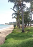 NOUMEA, NEW CALEDONIA, MELANEY