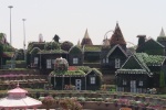 DUBAI MIRACLE GARDEN, el milagro de un jardín en el desierto