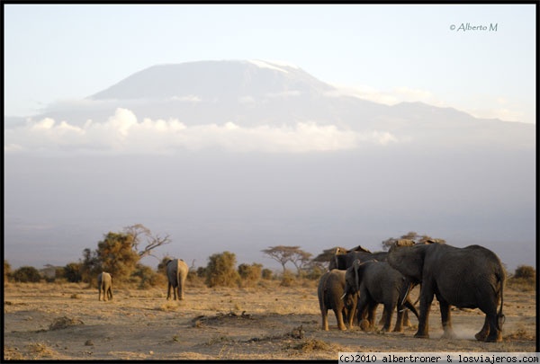 AMBOSELI
Parque Nacional Amboseli (Septiembre 2008)

