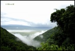 Ngorongoro