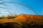 Duna Elim
Namibia, arena, duna