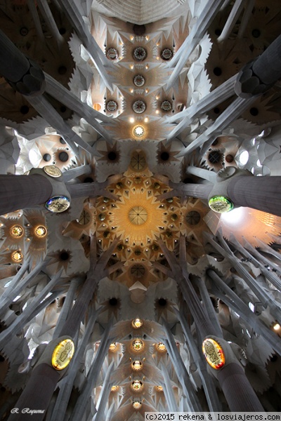 interior sagrada familia
el techo del interior de la sagrada familia con esa arquitectura magica de gaudi
