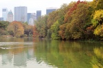 central park en Nueva York