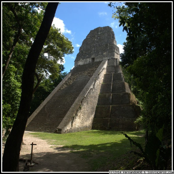 Templo nº 5
Con 59 metros (190 pies de alto), el Templo 5 es la segunda pirámide más alta de Tikal. Los arqueólogos creen  que en este sitio está enterrado un gobernante desconocido
