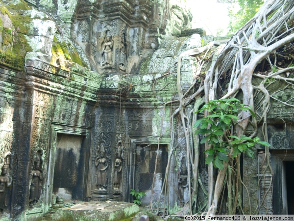 Ta Prohm (Templo de las Raices) Camboya
Su atracción no se basa en la obra en si, si no en la singularidad que a adoptado la misma, ya que la estructura del templo se ha unido con los arboles y las raíces de los mismos cubren muchas partes del santuario.
