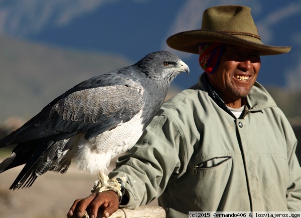 Valle de Colca
Aves andinas en el Valle del Colca y Cañón del Colca
