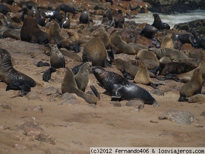 Cape Cross
Cape Cross donde se encuentra la colonia de leones marinos más grande de Africa
