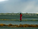 Lago  Natron
Lago Natron y Ol Doinyo Lengai