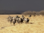 Tarangire National Park