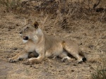 Tarangire National Park