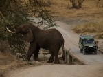 Tarangire National Park