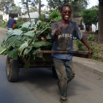 transporte
Tanzania, transporte, mercancias