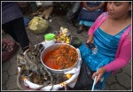 Iguana con tomate