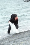 Pescando Iceberg en Alaska