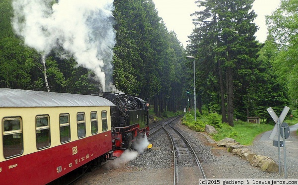 El tren a vapor del Harz
El HSB (Harzer Schmalspurbahnen) atraviesa el macizo del Harz entre bosques de abetos
