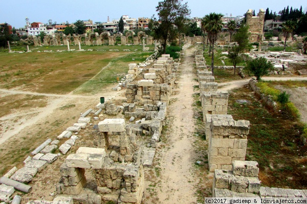 Tiro: Ruinas de Al-Basse (siglo II d.C)
Situadas a las afueras de Tiro. Son Patrimonio de la UNESCO. Via de acceso al hipódromo romano a cuyos lados había tiendas. Vista desde lo alto de las gradas: A mano izquierda: Parte del hipódromo. Al fondo: restos del Acueducto. A mano derecha y de perfil: El Arco Triunfal.
