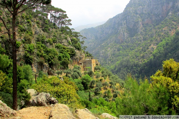 Qannoubine.- Valle de Qadisha
El Valle de Qadisha -en el Norte de Líbano- es patrimonio de la UNESCO pues está plagado de monasterios maronitas excavados en la roca, como éste de Qannoubine, que además tiene en su interior pinturas al fresco.
