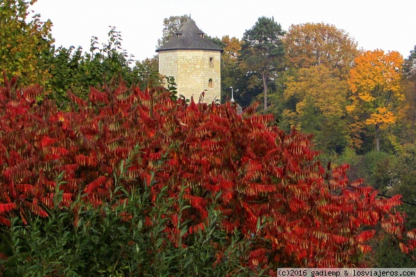 Ojców: Una torre del castillo
Otoñal estampa de una de las torres del Castillo de Ojców, en el Parque Nacional de Ojców, situado a tan solo 25 kilómetros de Cracovia
