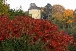 Ojców: Una torre del castillo
Ojców, Parque Nacional, castillo, Cracovia, Malopowska