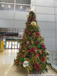 ARBOL DE NAVIDAD - AEROPUERTO MIAMI