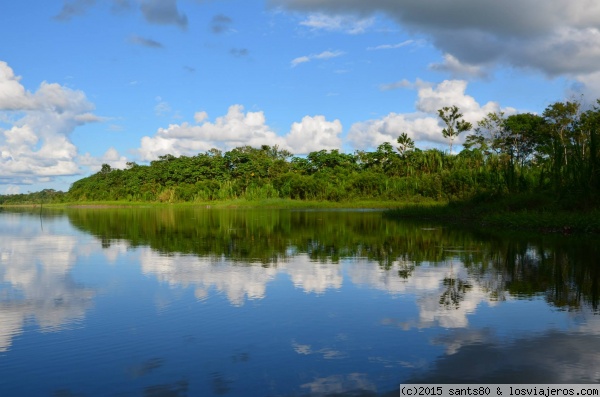 Reflejo en el río Napo
El río Napo es un brazo del Amazonas, el paisaje al navegar por sus aguas es espectacular.
