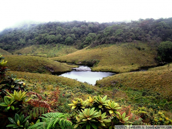 Knuckles Range
Este reducto intacto en la zona alta de Sri Lanka es patrimonio de la humanidad.
