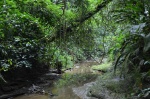 Amazonía en Ecuador