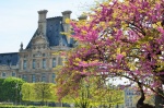 Primavera en París
Primavera, París, Detall, Louvre, Tuileries, desde, jardín