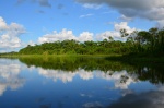 Reflection on the Napo River