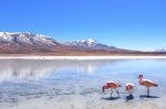 Lagunas Altiplánicas, ruta Salar de Uyuni