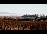 Viñas y ciudadela.
carcassonne, panorámica, medievo, francia