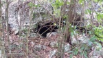 Ruta Padre Nuestro
Ruta, Padre, Nuestro, Bayahibe, PAdre, Cueva