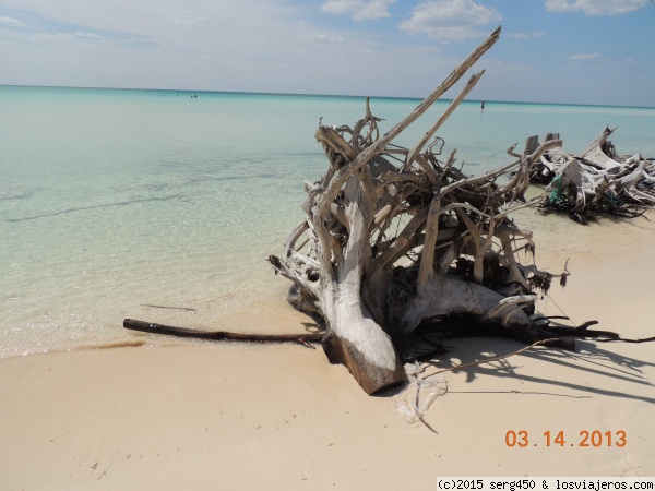 Playa en Lucayan National Park
Playa en la isla Grand Bahama
