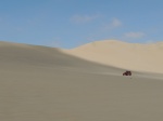 Desierto en Ica
Desierto, Buggie, Huacachina, recorriendo, desierto, cerca, oasis