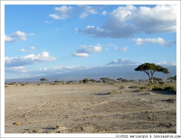 Amboseli y Kilimanjaro
Aridez,acacias y Kilimanjaro en Amboseli
