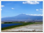 Al resguardo del Kilimanjaro.