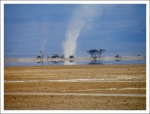 Tornado en Amboseli
tornado Amboseli