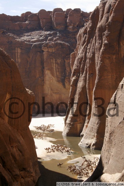 Guelta de Archei- Ennedi
Vista del Guelta de Archei - Ennedi
