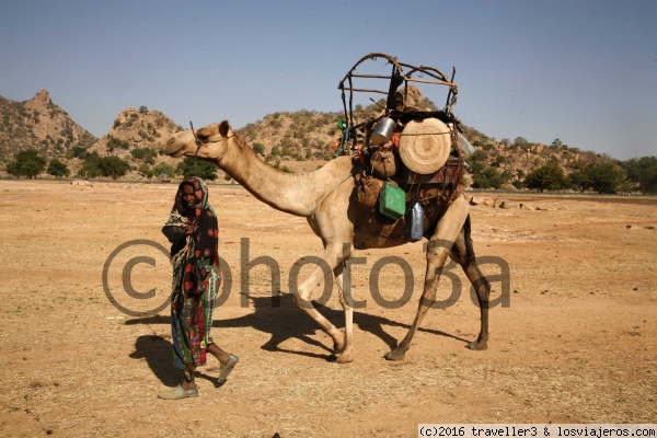 Nomadas
Nomadas en el Ennedi
