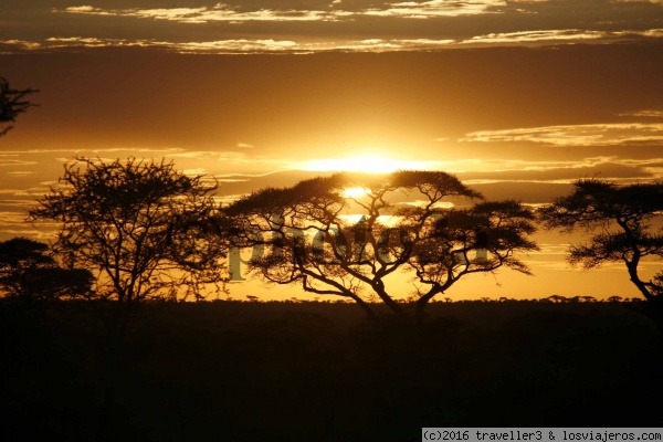 atardecer en Serengueti
Puesta de sol en el Serengueti
