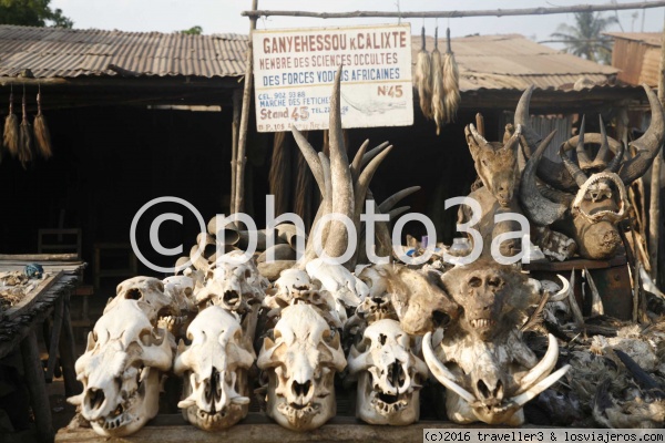 Mercado de fetiches en Lome
Mercado de fetiches en Lome
