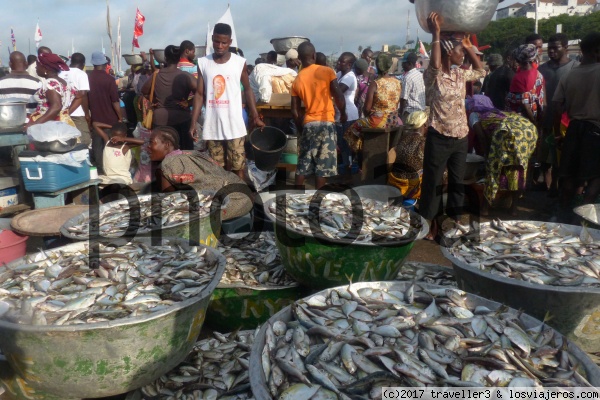 vendedores de pescado en el puerto de Elmina
Vendedores de pescado fresco en el puerto de Elmina
