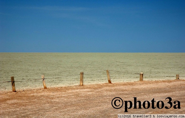 Planicie de Ethosa
Planicie en el PN de Ethosa en Namibia
