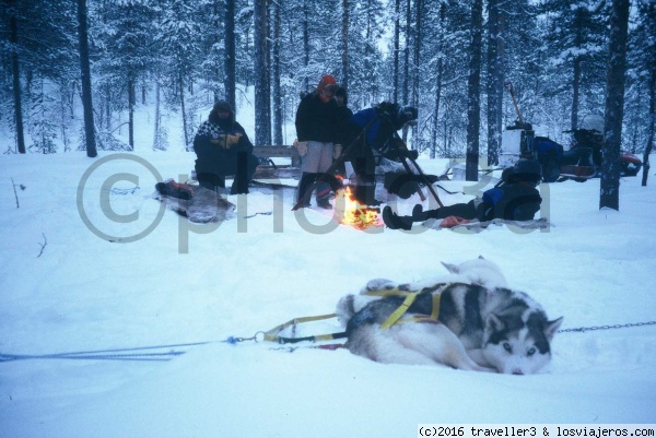 Campamento en laponia
Parada para comer y descansar del recorrido en trineo de Huskis
